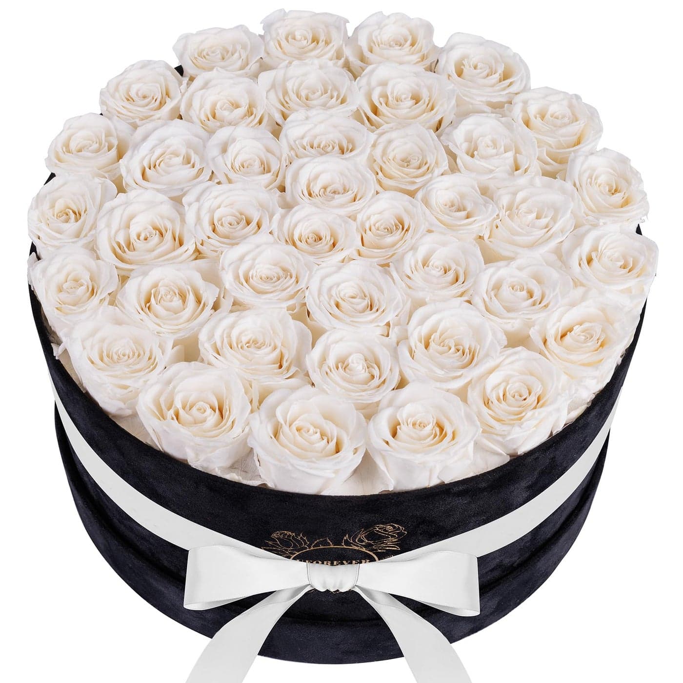 UFOREVER ROSES 40 Pieces Preserved Roses in Suede Box Flowers for Mothers Day Preserved Flowers Gift for Women White