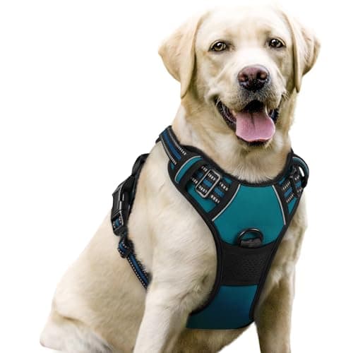 rabbitgoo Dog Harness No Pull with 2 Leash Clips Adjustable Soft Padded Reflective Oxford No Choke Pet Vest with Easy Control Handle for Large Dogs Blue Coral L