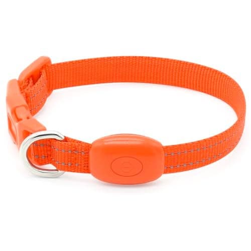 BSEEN Light Up Dog Collar, Rechargeable LED Dog Collar Glowing Cat Collars Reflective Puppy Collar Safety Dog Lights for Night Walking(Orange, XS)