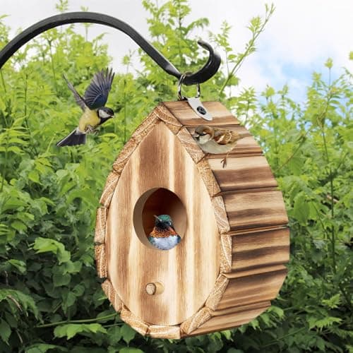 CLACKIBUKVYZ Hummingbird HouseWooden Birdhouse for OutsideHanging Small Bird HousesWild Bird Nesting Box Outdoor Bird House for BluebirdFinchCardinals