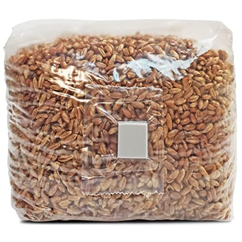 ES EVVIVA SCIENCES Grain Bag 3 LBS for Mushroom Growing – Easy to Use Grains – Self-Healing Injection Port – 0.2 Micron Patch – Ready to Use Immediately