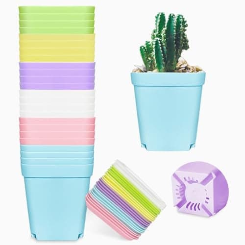 24 Pack 3inch Multi Color Square Plastic Plant Pots,Seedling Nursery Transplanting Planter Container Indoor Outdoor for Your Room,Garden Office and Balcony Decor