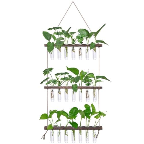 XXXFLOWER Wall Hanging Propagation Station with Wooden Stand 21 Glass Test Tubes 3 Tiered Planters Wall Terrarium for Home Office Plant Hanger Flower Vases Wall Decor Hydroponic Cuttings Brown