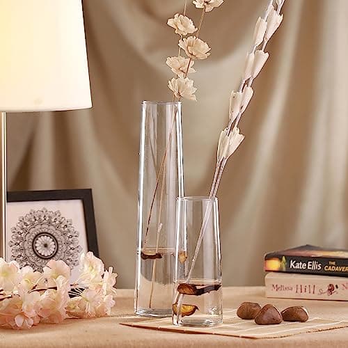 TIED RIBBONS Set of 2 Flower Vase for Living Room (Transparent, 29 cm & 16.5 cm) - Glass Vase Pot for Water Plants Home Decor Dining Table Decoration Bedroom Hall Aesthetic House Warming Gift