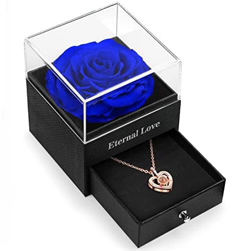 HEGUD for Mom Wife Women Girlfriend Her, Preserved Real Rose with I Love You Necklace in 100 Language, Eternal Real Rose Flower Gifts for Valetine's Day Birthday Anniversaries
