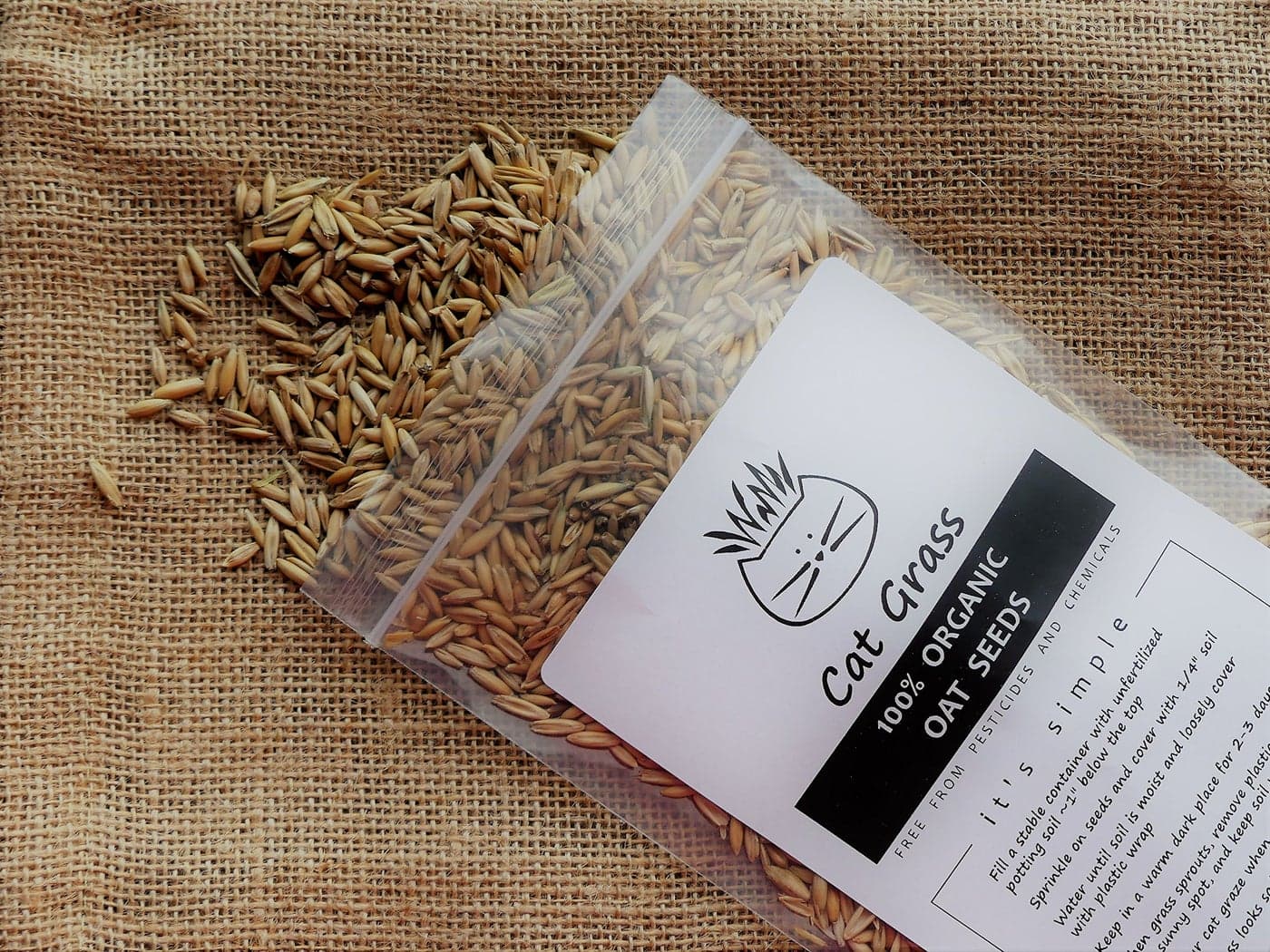Simple Cat Grass | 100% US Organic Oat Seeds | Show Your Love with a Healthy Pet Treat and Snack (4 Ounce (~3200 Seeds))