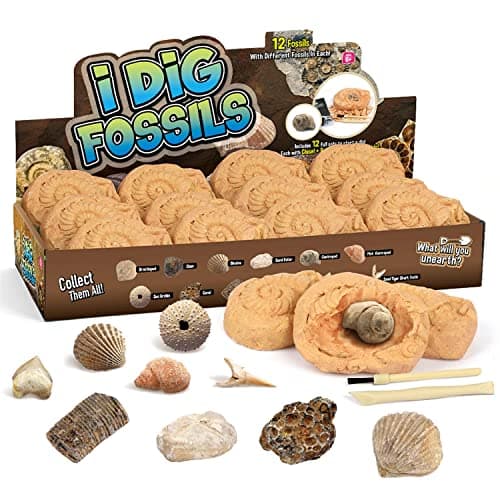 Gamerside Fossil Dig Kit Educational STEM Science Toys for Kids Ages 6 Dig Up 12 Fossils Real Dinosaur Bones Rocks Digging Activities Kits Paleontology Discovery Gifts for Boys Girls
