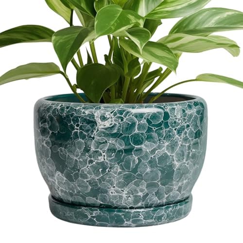 SQOWL 8 Inch Plant Pot - Ceramic Planter for Indoor Plants, Decorative Flower Pot with Drainage Hole and Saucer, Round Planter Outdoor, Room Patio Decor, Garden Gifts for Women, Green
