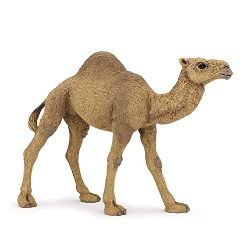 Papo -Hand-Painted - Figurine -Wild Animal Kingdom - Dromedary -50151 -Collectible - for Children - Suitable for Boys and Girls- from 3 Years Old
