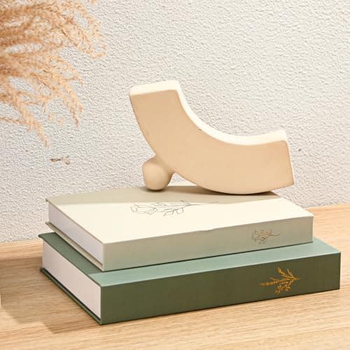 Cinnvoice Set of 2 Decorative Books Boxes, Faux Books Stacked for Decoration for Coffee Tables Modern Home Bookshelves Decor, Fake Fashion Photo Storage Boxes(Sage Green Beige)