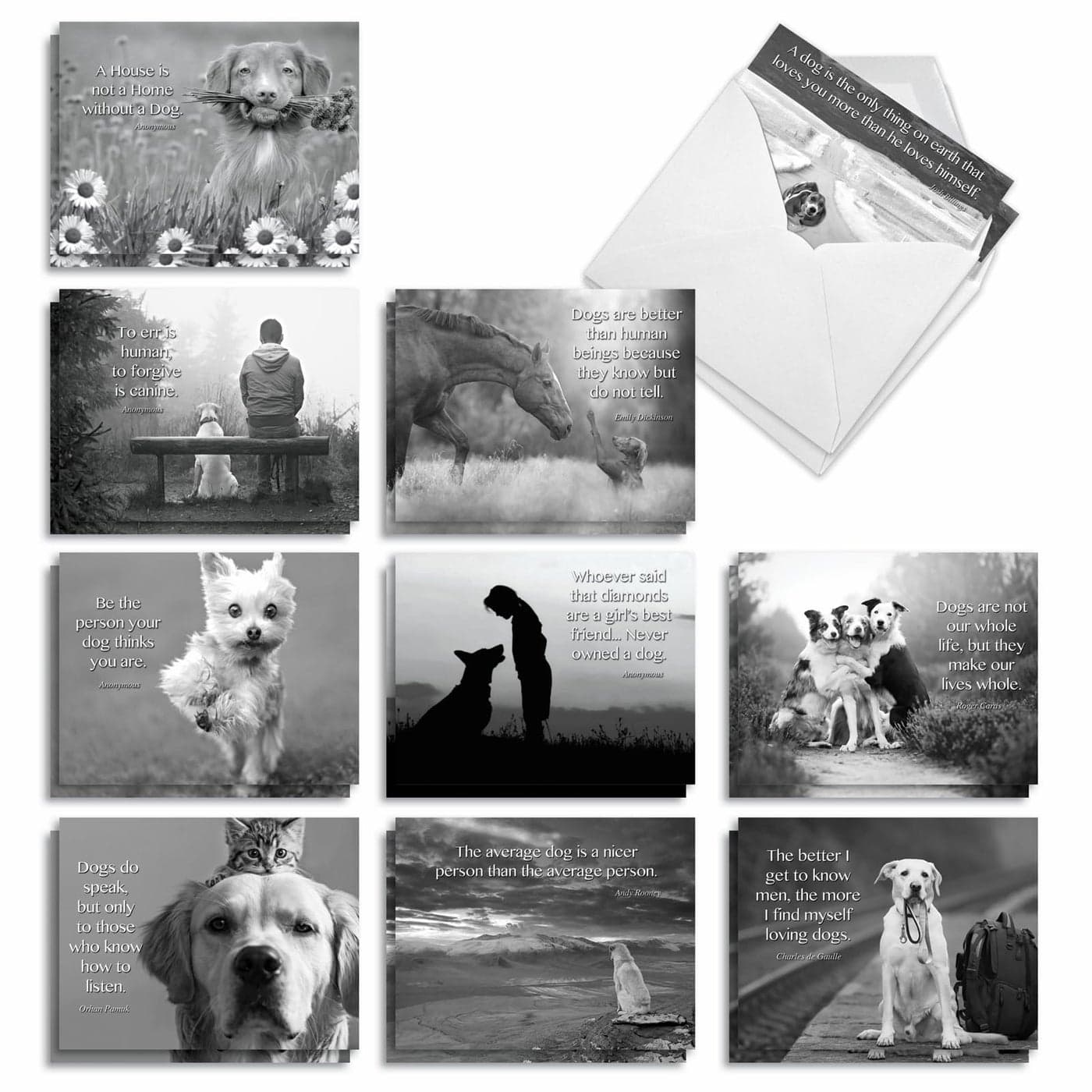 The Best Card Company 20 Boxed Dog Cards with Envelopes 4 x 512 Inch Blank Assortment 10 Designs 2 Each Canine Comments AM1623OCBB2x10NB