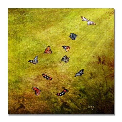 Trademark Art Lois Bryan Canvas Artwork, Butterfly in The Sky, 18 by 18-Inch