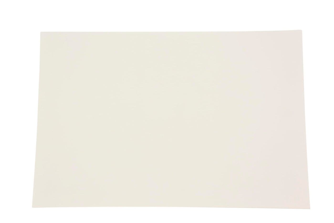 Sax Pen and Ink Sulphite Drawing Paper 80 lb 9 x 12 Inches White 100 Sheets