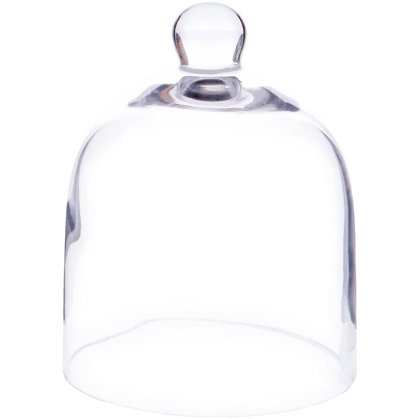 Plymor 5 x 6 Bell Jar Glass Display Dome Cloche Interior size 475 x 45