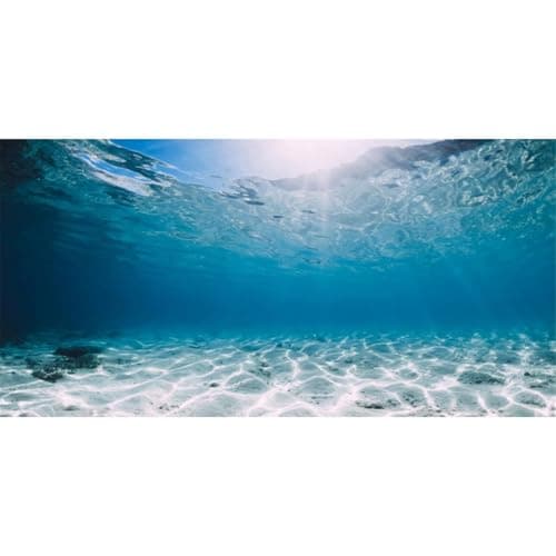AWERT 72x24 inches Vinyl Undersea Ocean Floor Aquarium Background Tropical Tank Background