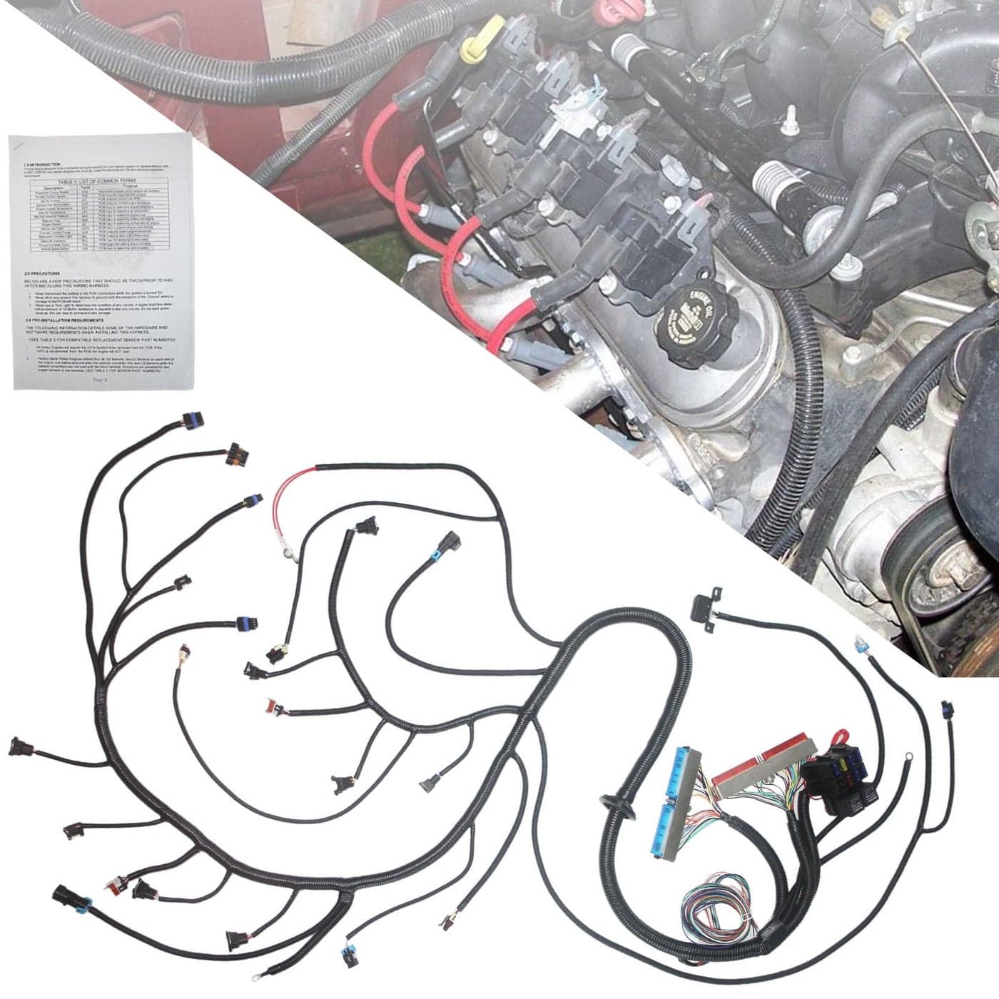 PPNZQAUT T56 DBC LS1 LS6 Standalone Wiring Harness Compatible with 19972006 LS Drive by Cable RedBlue PCM Vortec Engines 48 53 60 w TH400 TH350 700R4 Manual Transmissions EV1 Fuel Injector