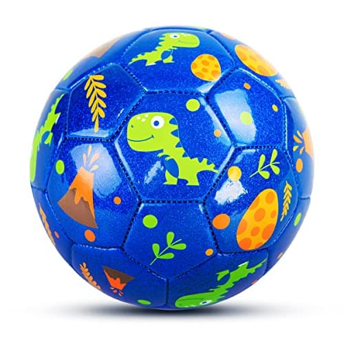 EVERICH TOY Toddler Soccer Ball 59 Small Soccer Ball Size 2 with Pump Dinosaur Toys Indoor Outdoor Play Balls Games Great Birthday Gifts for Children Girls Boys