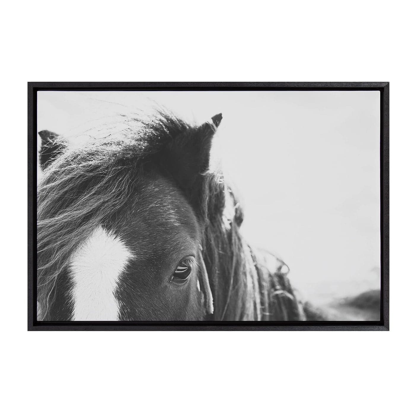 Kate and Laurel Sylvie Noble Framed Canvas Wall Art by Alicia Abla 23x33 Black Modern Horse Art Black and White Photography