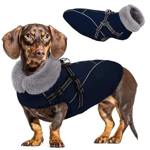 Queenmore Dog Coat,Windproof Dog Coat for Medium Dogs,Dogs Jackets with Harness Built in,Waterproof Doggy Coats with Zipper On Back,Reflective Cold Weather Coats for Dachshund,NavyBlue,M