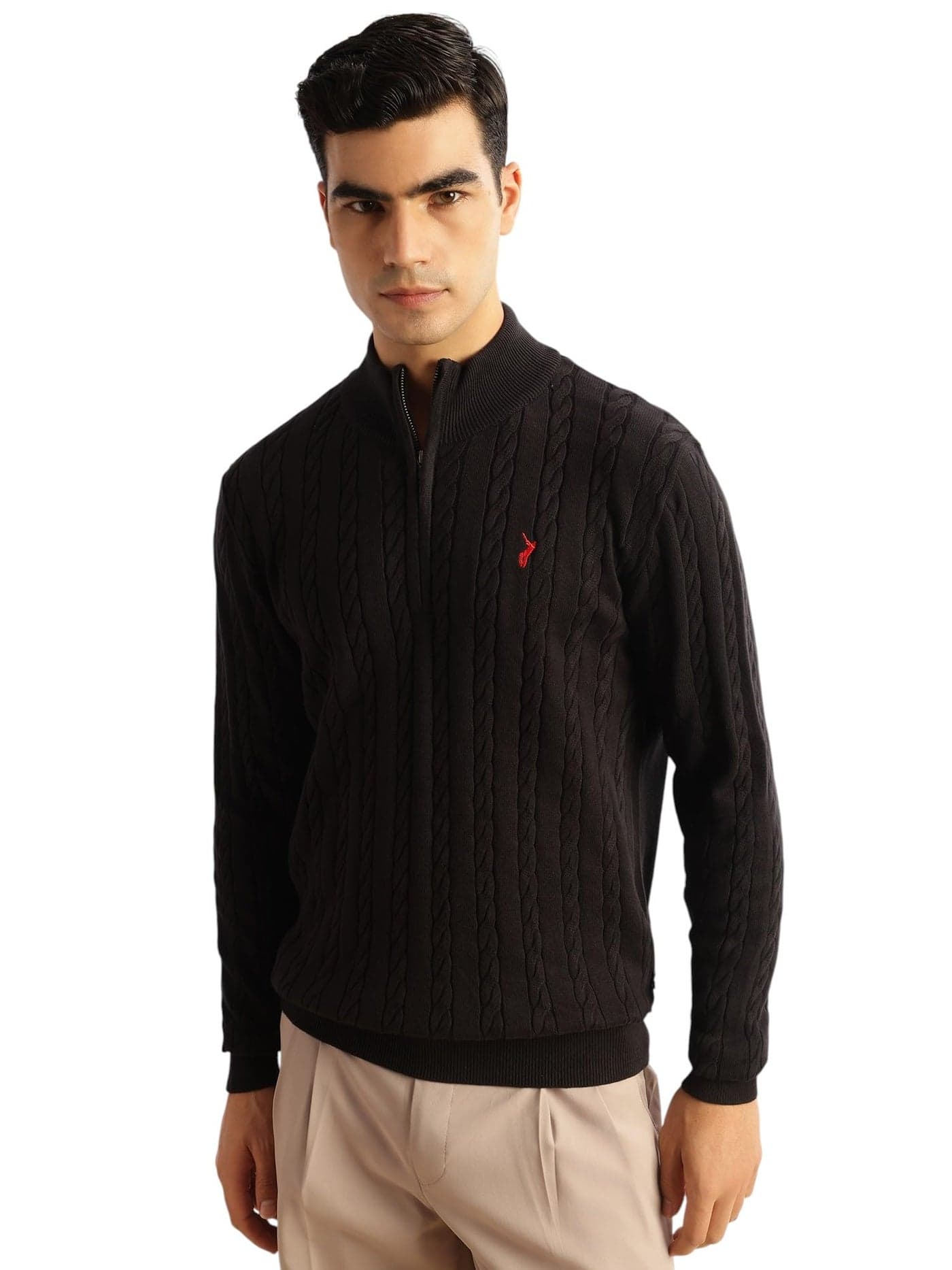 Thomas Scott Men's | Regular Fit | Long Sleeves | Mock Collar | 100% Cotton | Dry Clean | Cable Knit | Knitted | Pullover Sweater (TSFK27_Black_XL)