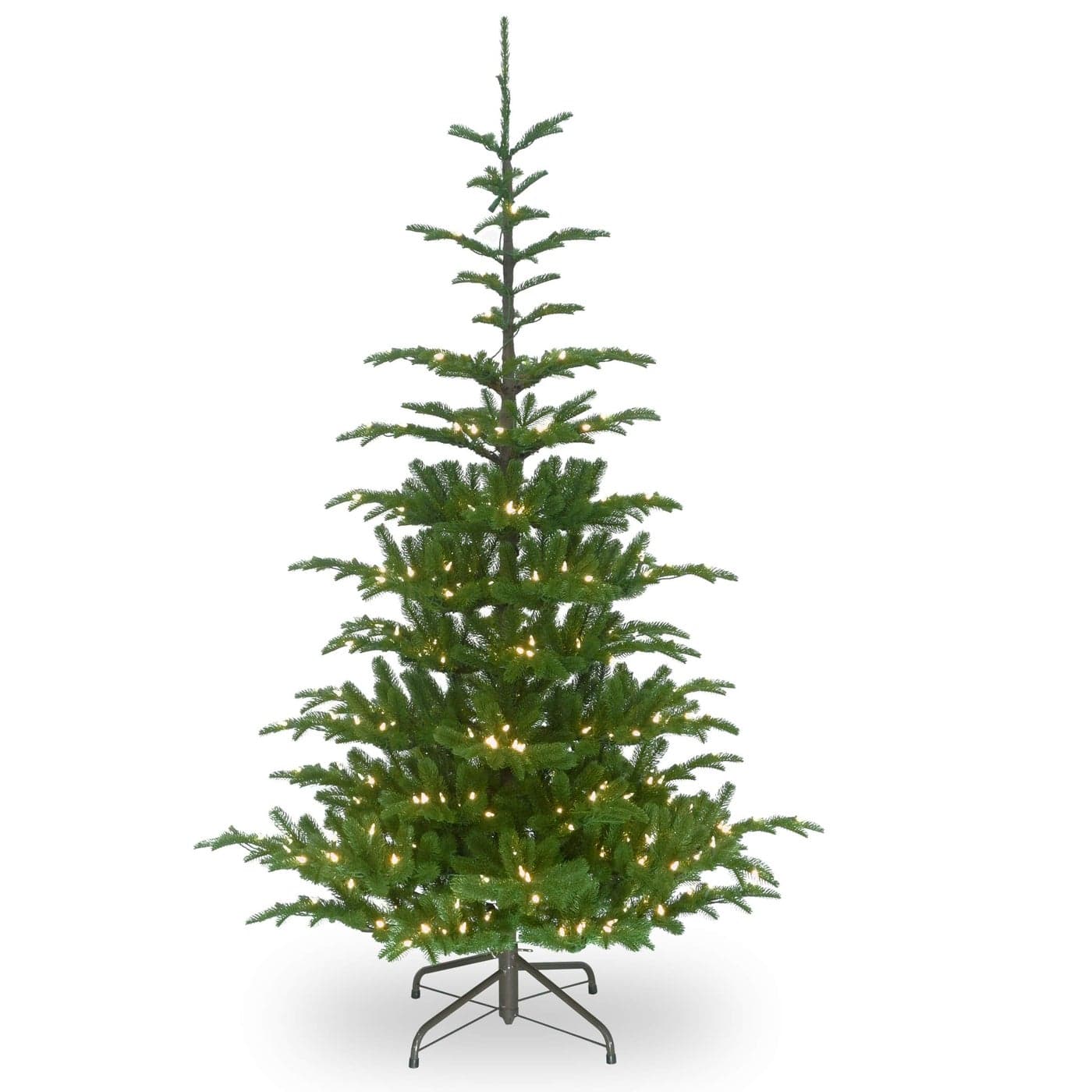 National Tree Norwegian Spruce Tree Green
