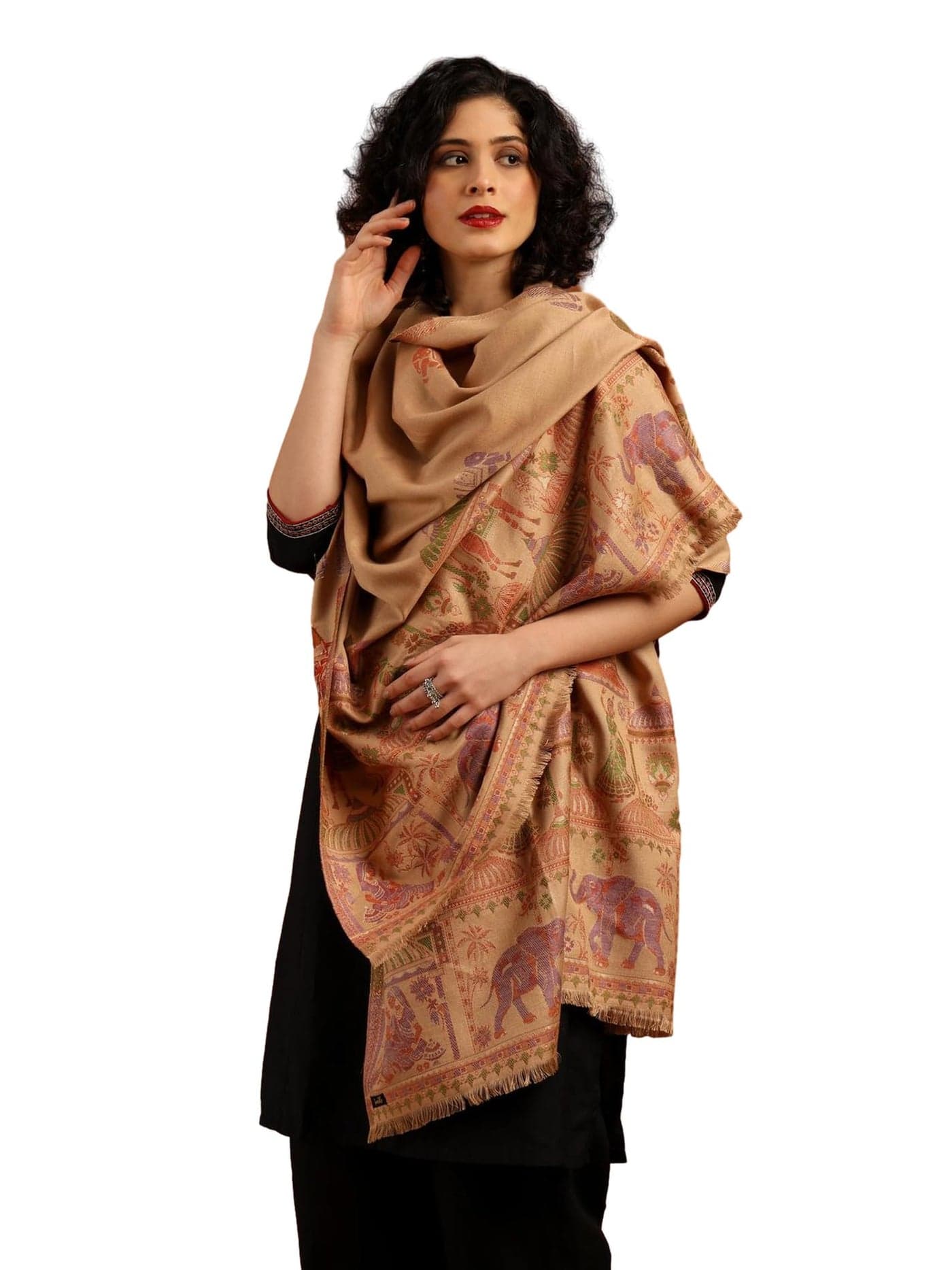 tweedle Women’s Beige Ethnic Mahotsav Design Zari Shawl, Faux Wool Stole/Scarf for Ladies, Size - 40 x 80 inches