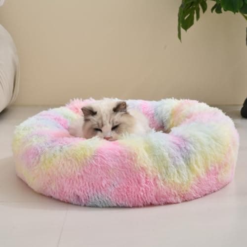 ZEXSAZONE Summer Small Cat Bed Donut Shape for Kittens & Small Dogs | Soft Plush Washable Puppy Bed |Raised Sides for Head & Neck Support | Reversible 2-in-1 Pet Cushion Rainbow