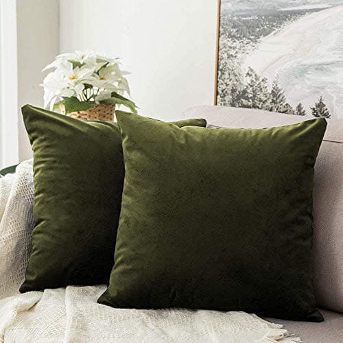 Khooti Velvet Cushion Cover, 24x24 | Mehandi | Pack of 3 | Solid Plain Soft & Smooth, Decorative Cushion Covers for Living Room, Bedroom, Couches, Chairs, Sofas, Beds & Home Decor