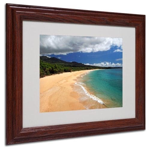 Trademark Fine Art Makena Maui by Pierre Leclerc Canvas Wall Artwork, Wood Frame, 11 by 14-Inch
