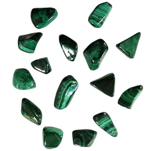 GeoFossils Malachite Large Tumbled Stone