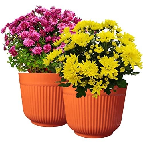 DEVICE OF URBAN INFOTECH 12 Inch Big Size Planters Colourful Plastic Flower Pot Durable Large Gamla Decorative Indoor Outdoor Gardening Pots for Home Terrace Lawn Balcony Nursery (Orange)