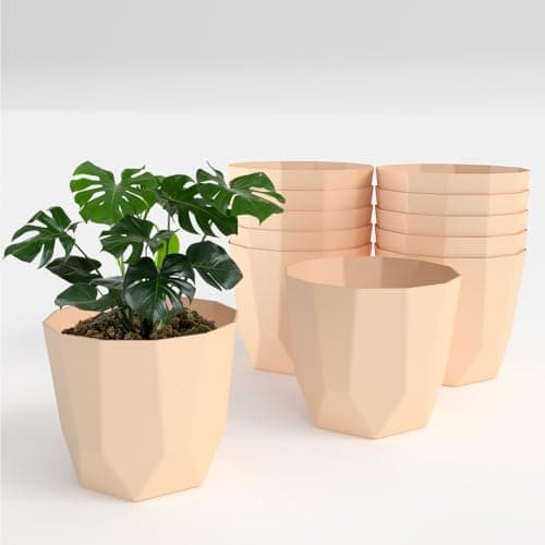 YUCCABE ITALIA SHERA Hexa Plastic Planter Pot for Plants | Decorative Flower Pot | UV Protected Lightweight Indoor Outdoor Gamla for Home Decor, Balcony, Garden & Living Room