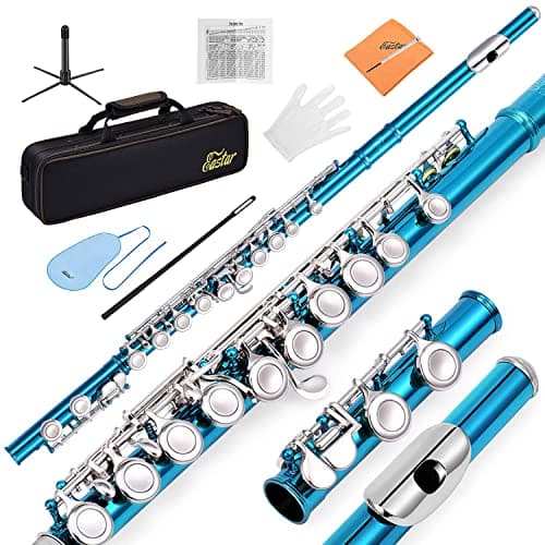 Eastar Closed Hole 16 Keys Flute for Beginner Kids Student with Fingering Chart, Cleaning Kit, Stand, Case, Gloves, Tuning Rod, Sky Blue, EFL-1SB