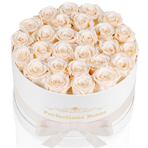 Perfectione Roses 27 Roses in a Box, Mothers Day Rose, Preserved Flowers for Her, Flowers for Delivery Birthday Gifts for Women (Buttermilk)