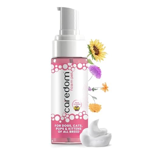 Caredom Foam Pet Dry Shampoo 150 ml | Wild Flower Essential Oil | Quick Water Free Bath | Deodorizing Foam Cleanser | Floral Spa Freshness | Herbal No Rinse Pet Shampoo for Dog Cat Puppy Kitten