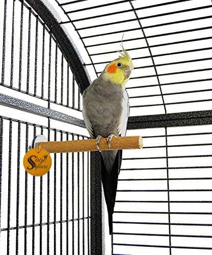 8 Inches / 20 cm Natural Habitat Wooden Perch/Stand/Toy for Birds (Light Weight)