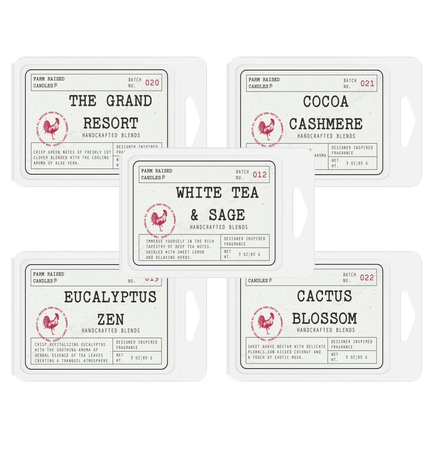 Farm Raised Candles Resort Wax Melts Coastal SpaInspired 5Pack for Wax Warmers 3 oz Each 6 Cubes 16 oz Total Fresh from The Farm Soy Wax Melts USA Made