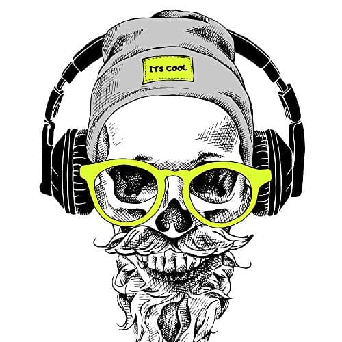 5 Ace skul with headphones wall sticker poster of skull,cartoon(size:12x18),multicolor