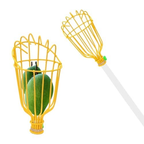 Urban Plant Fruit Picker Head – Durable Metal Basket Mango Plucker Tool for Easy Harvesting from Tree | Mango Cutter, Fruit Picker Attachment for Pole (Pole Not Included)