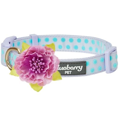 Blueberry Pet Adjustable Flocking Dog Collar with Artificial Silk Flower - Polka Dot in Pastel Purple, Large, Neck 18"-26"