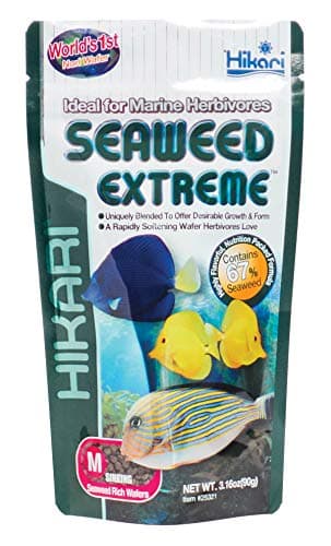 Hikari Usa Inc AHK25321 Seaweed extreme 3.16-Ounce