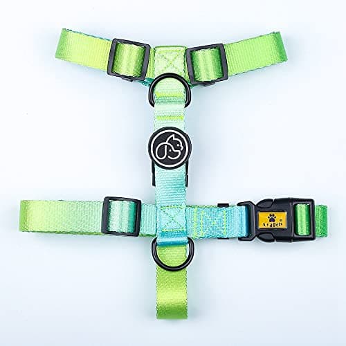 A+a Pets' H-Harness for Dogs, Cats | Soft Premium Waterproof (Gradient Design Green, M)