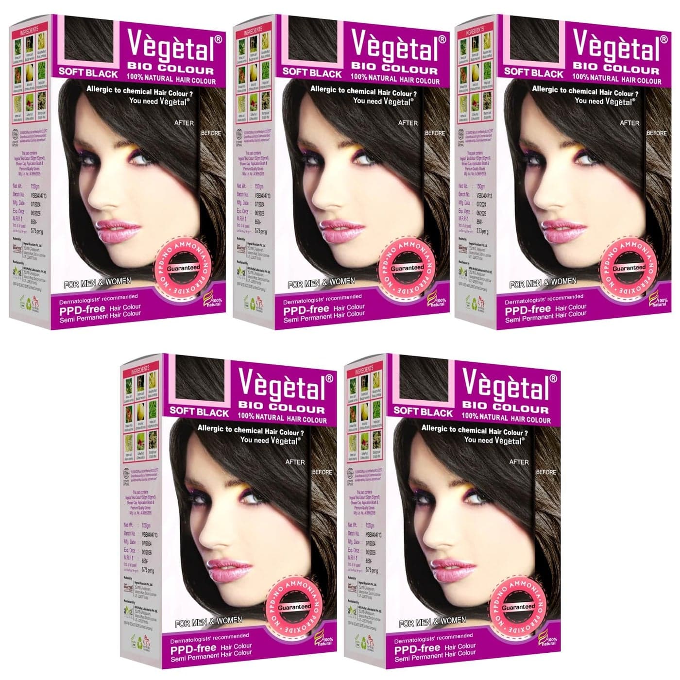 Vegetal Bio Hair Colour Soft Black 150g Pack of 5 Achieve Natural AmmoniaFree Hair Color PPDFree 100 Herbal Certified Organic for Men and Women