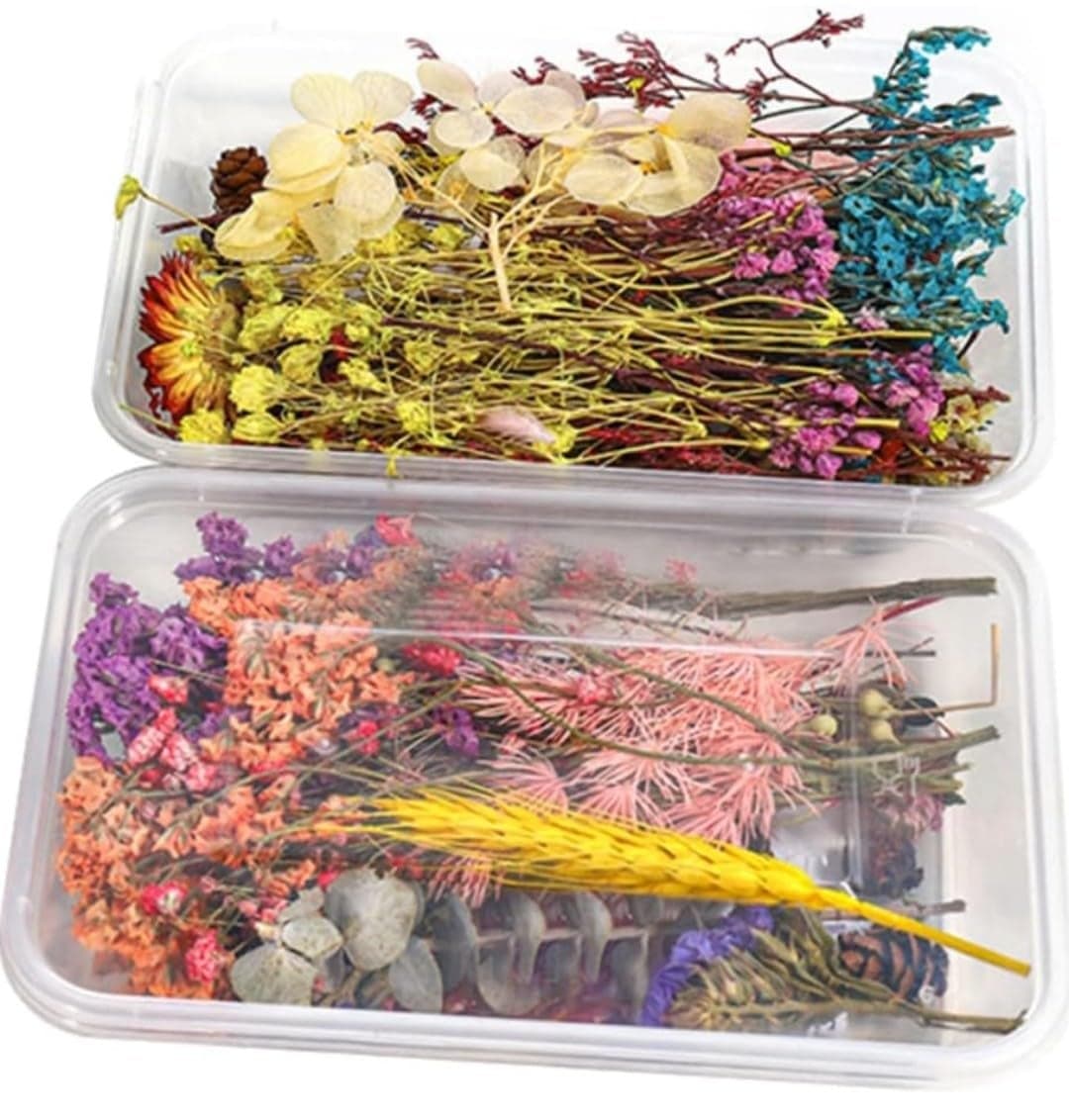 VRB DecTM 2 Box Natural Real Dried Flowers for Art Craft/rasin Art kit - Mixed & Multicolor for Soap, Artificial Candles,Scrapbook, DIY, Resin Tray Jewellery, Pendant (2 Box - Multicolor)