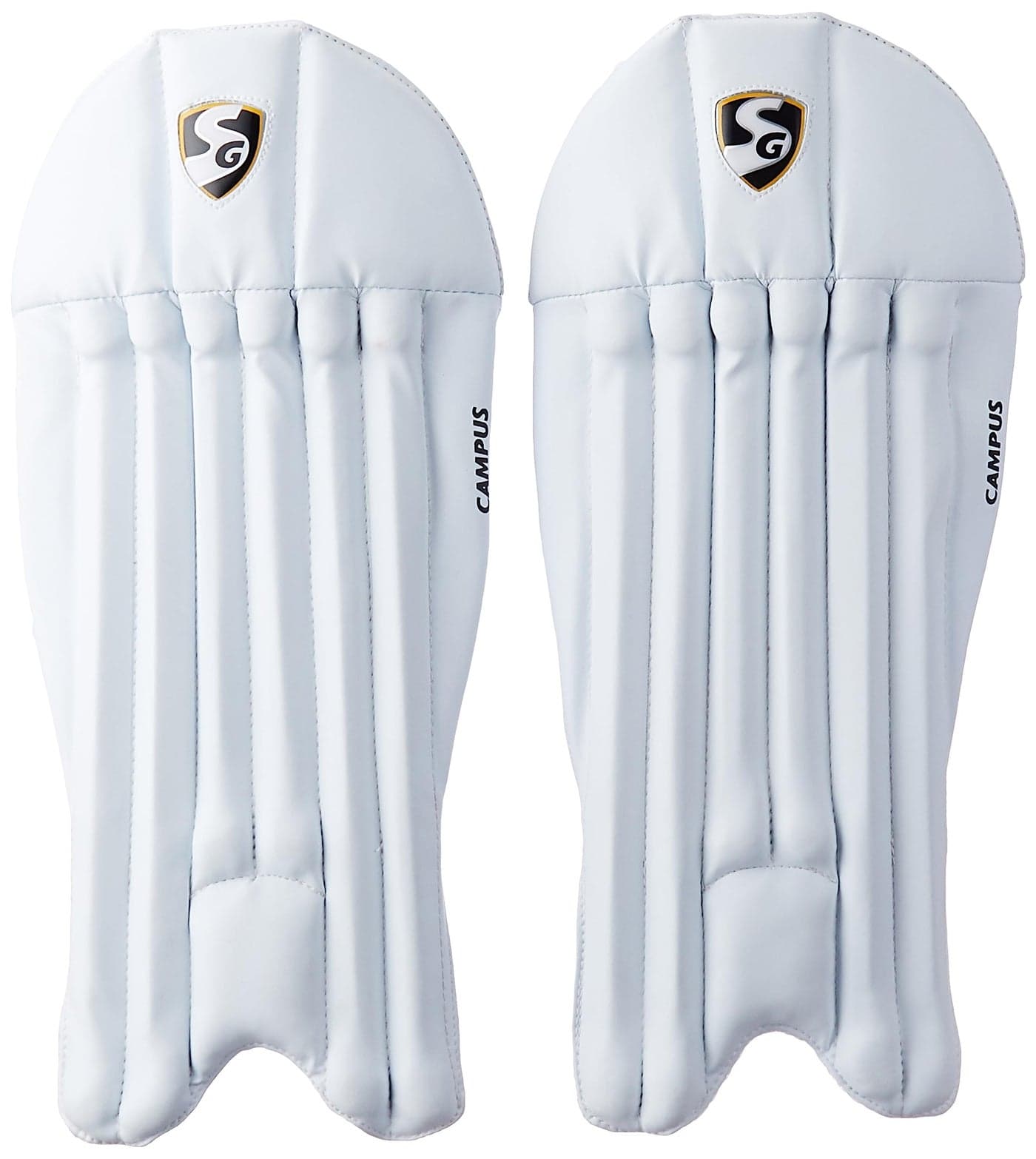 SG Campus Wicket Keeping Leg Guards, Junior,PVC , Multicolour