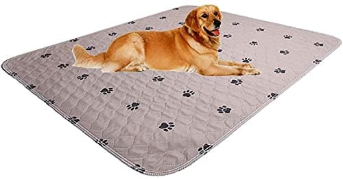 SincoPet Washable Dog Pee Pads with Puppy Grooming GlovesPuppy PadsReusable Pet Training PadsLarge Waterproof Pet Pads for Dog Bed MatSuper Absorbing Whelping Pads24x36 Inch Pack of 4