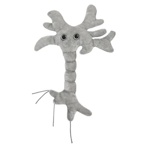 GIANTmicrobes Brain Cell Plush Neuron Plush Neuroscience Gift Neurology Science Plushies Neuron Model Anatomy Psychology Gifts Psychology Decor Brain TBI Mental Health Awareness