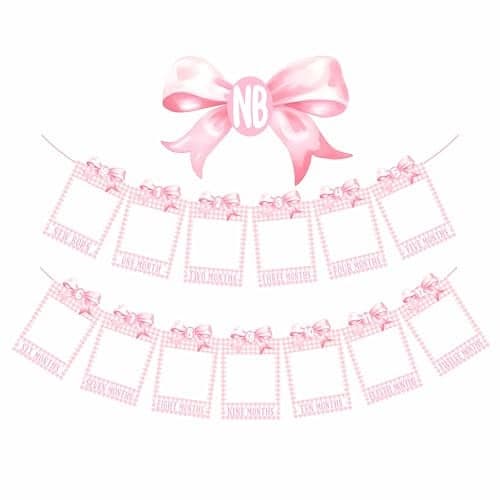 Pink Bow Photo BannerFirst Birthday Decorations for GirlNewborn to 12 Months Photo Banner1st Birthday MilestoneFirst Year PhotosBaby Shower
