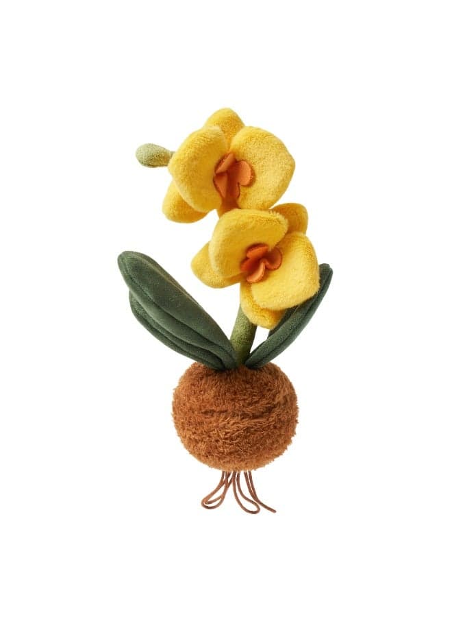 Babycare - Phalaenopsis Plant Plush Toy - Yellow - 34 x 18 cm
