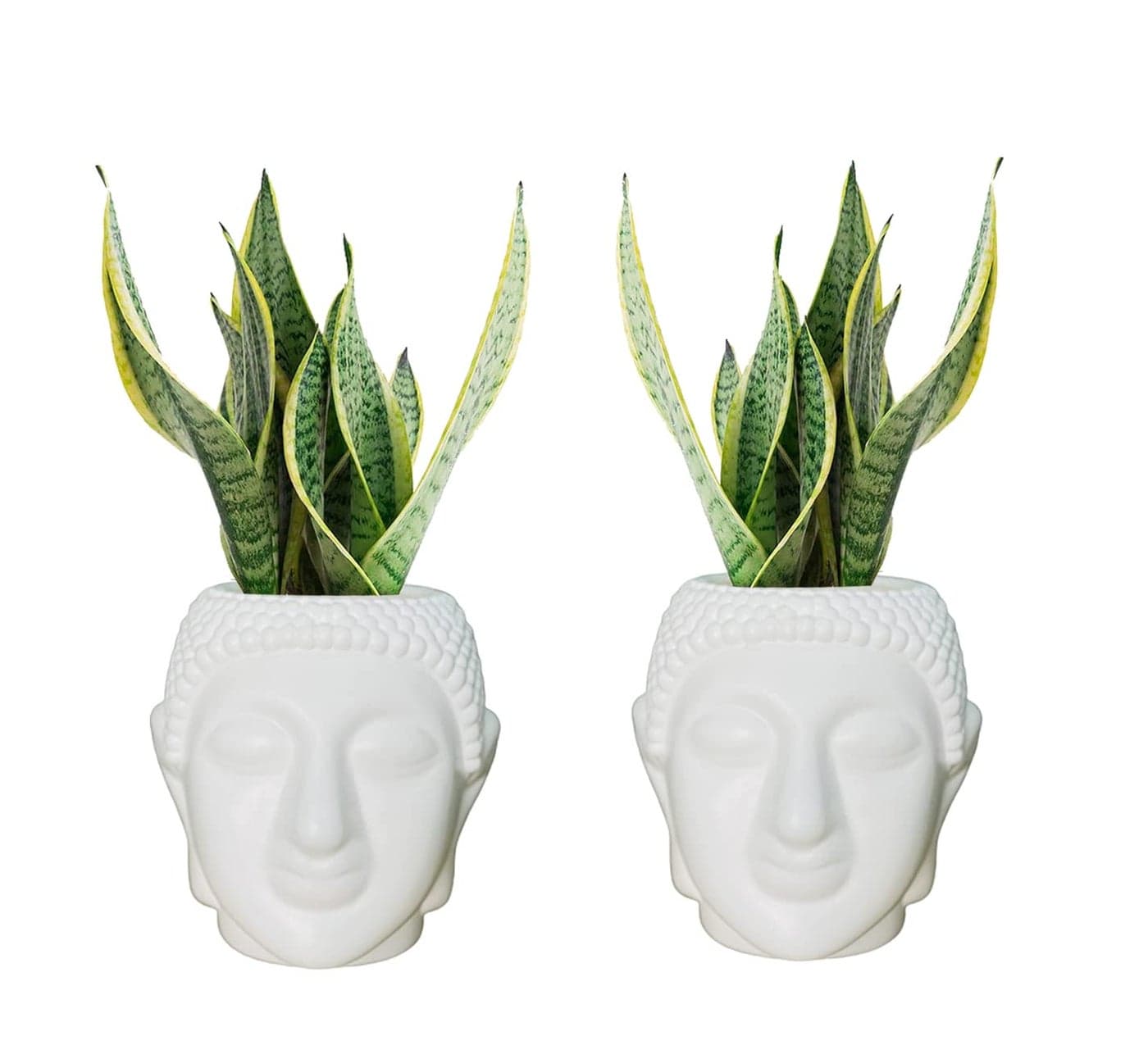 Go Hooked Buddha Pot Plastic White Flower Pot/Plant Pots for Home Decor, Washroom and Office Decor (Set of 2)